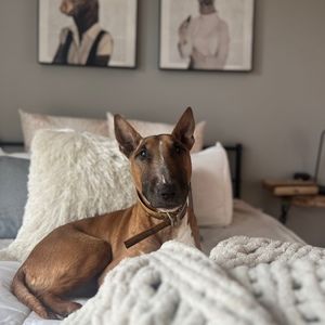 Meet your Posher, Alissa